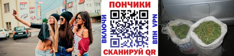 наркотики  Спасск-Дальний  Конопля тримм 